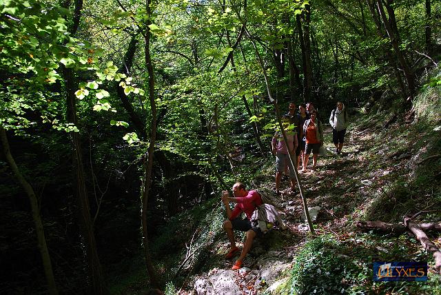 verso il torrente.JPG